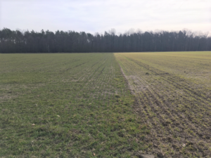 Read more about the article Foliar applications will kick-start crops this spring