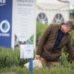 Cereals 2021 returns to Lincolnshire fields