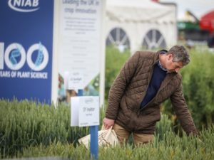 Read more about the article Cereals 2021 returns to Lincolnshire fields