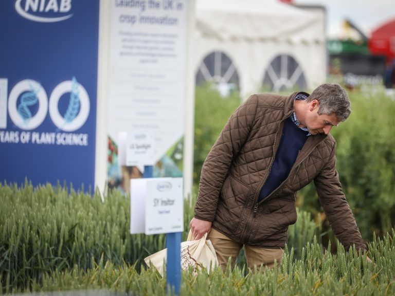 Read more about the article Check out the latest varieties at Cereals LIVE