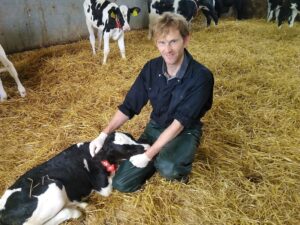 Read more about the article Mycoplasma bovis vaccine proves successful