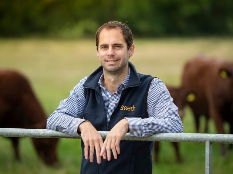 Read more about the article Better beef profits with Breedr