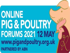 Read more about the article Get the latest information at Pig & Poultry Forums online