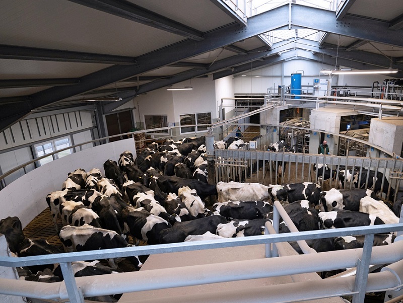 You are currently viewing New robotic technology for flexible milking systems