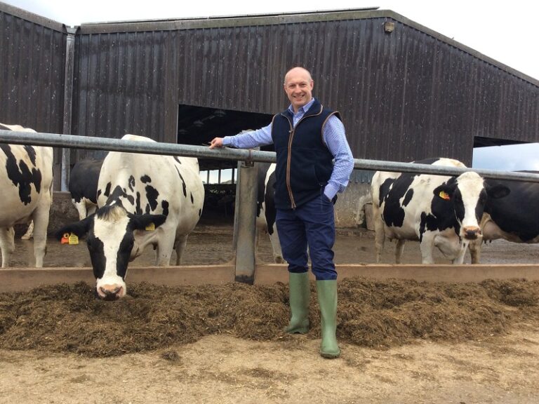 Read more about the article New flexible finance to ease dairy farm cashflow