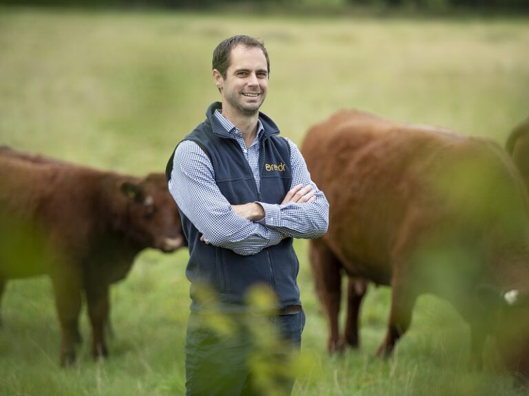 Read more about the article Breedr offers seamless cattle reporting with ScotEID