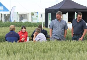 Read more about the article Comparing variety crop plots at Cereals