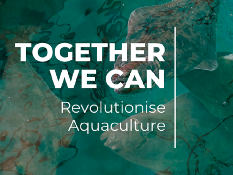 You are currently viewing New innovation centre unlocks aquaculture opportunities