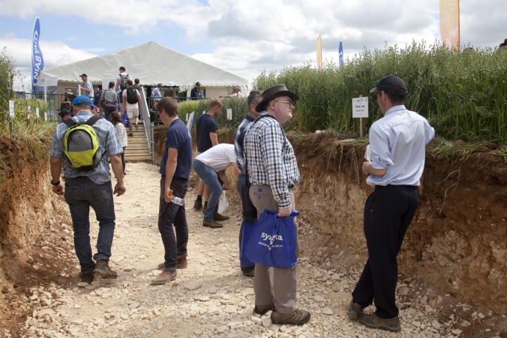 You are currently viewing Getting a grip underground – Cereals tackles rooting and drainage