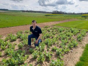 Read more about the article Cereals crop plots preview a resounding success