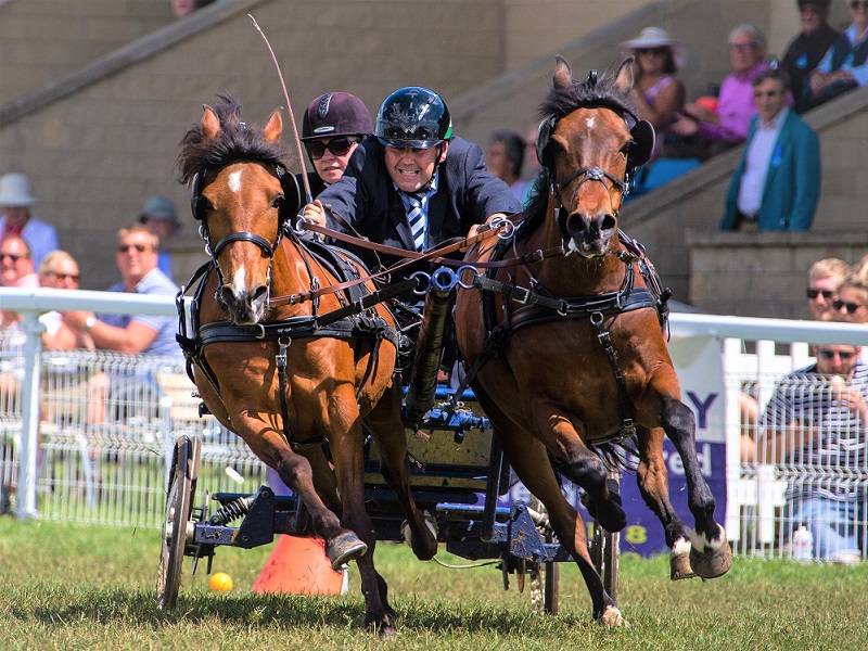 You are currently viewing Thrills, spills and champions at Royal Bath & West Show