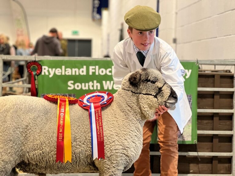 Read more about the article Young handler aiming high at the Royal Bath & West Show