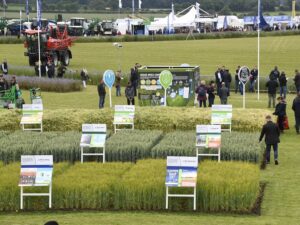 Read more about the article Five reasons to visit Cereals