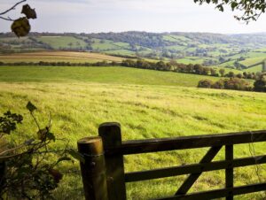Read more about the article Helping farm businesses navigate climate change policy