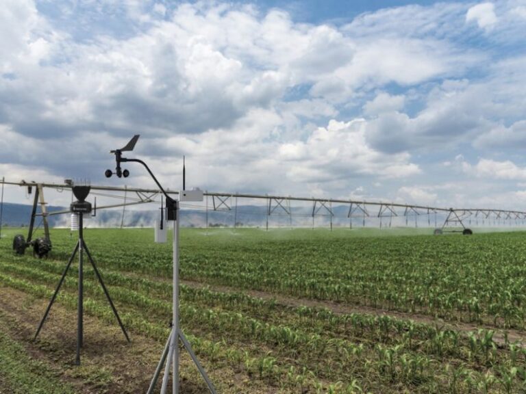 Read more about the article New irradiance sensor improves irrigation management