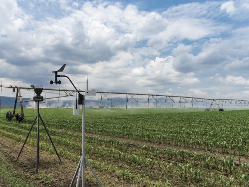 You are currently viewing New irradiance sensor improves irrigation management
