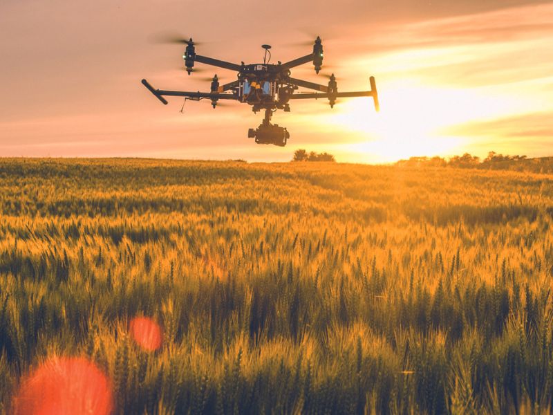 You are currently viewing Agri-tech critical across supply chains