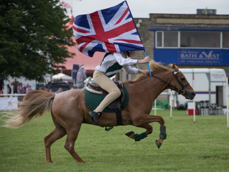 You are currently viewing Top notch competition at Royal Bath & West Show