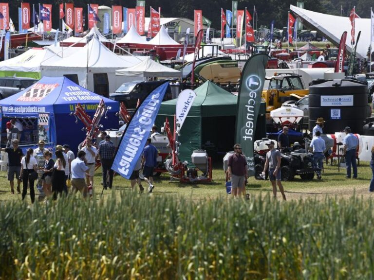 Read more about the article Building connections for better business at Cereals