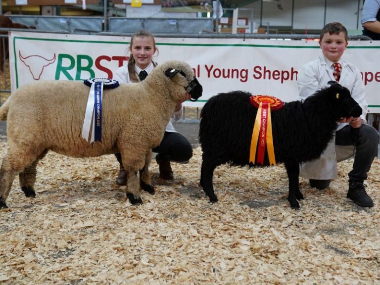 Read more about the article Competing for top honours at the English Winter Fair