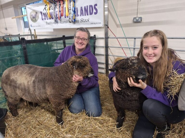 Read more about the article Livestock showing – a family affair