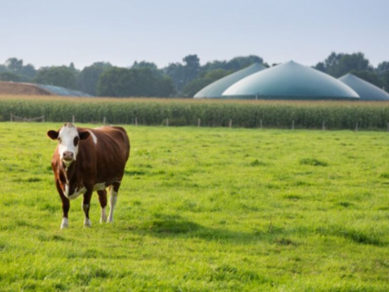 Read more about the article Urgent need to support farm investment, says CAAV