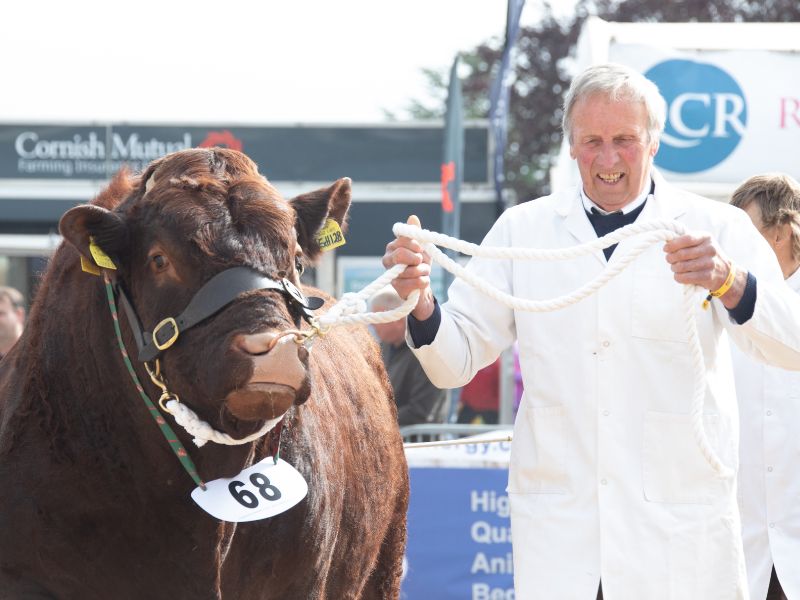 You are currently viewing Entries now open for the Royal Bath & West Show’s catalogue of competition