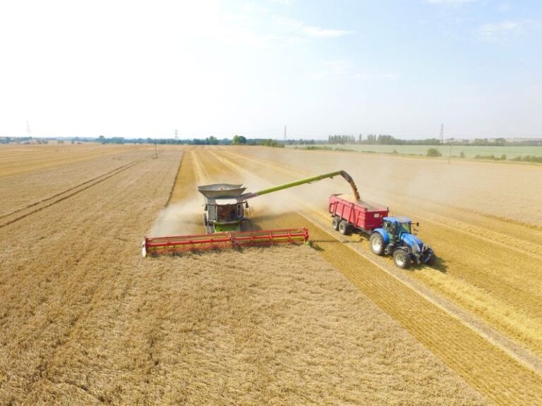 Read more about the article New Hertfordshire site for Cereals 2024