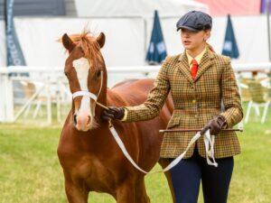 Read more about the article Equine excitement builds ahead of the Royal Bath and West Show