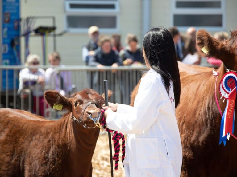 Read more about the article Farming fun for all at the Royal Bath & West Show