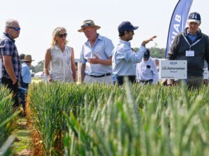 Read more about the article Largest ever agronomy zone for Cereals 2024