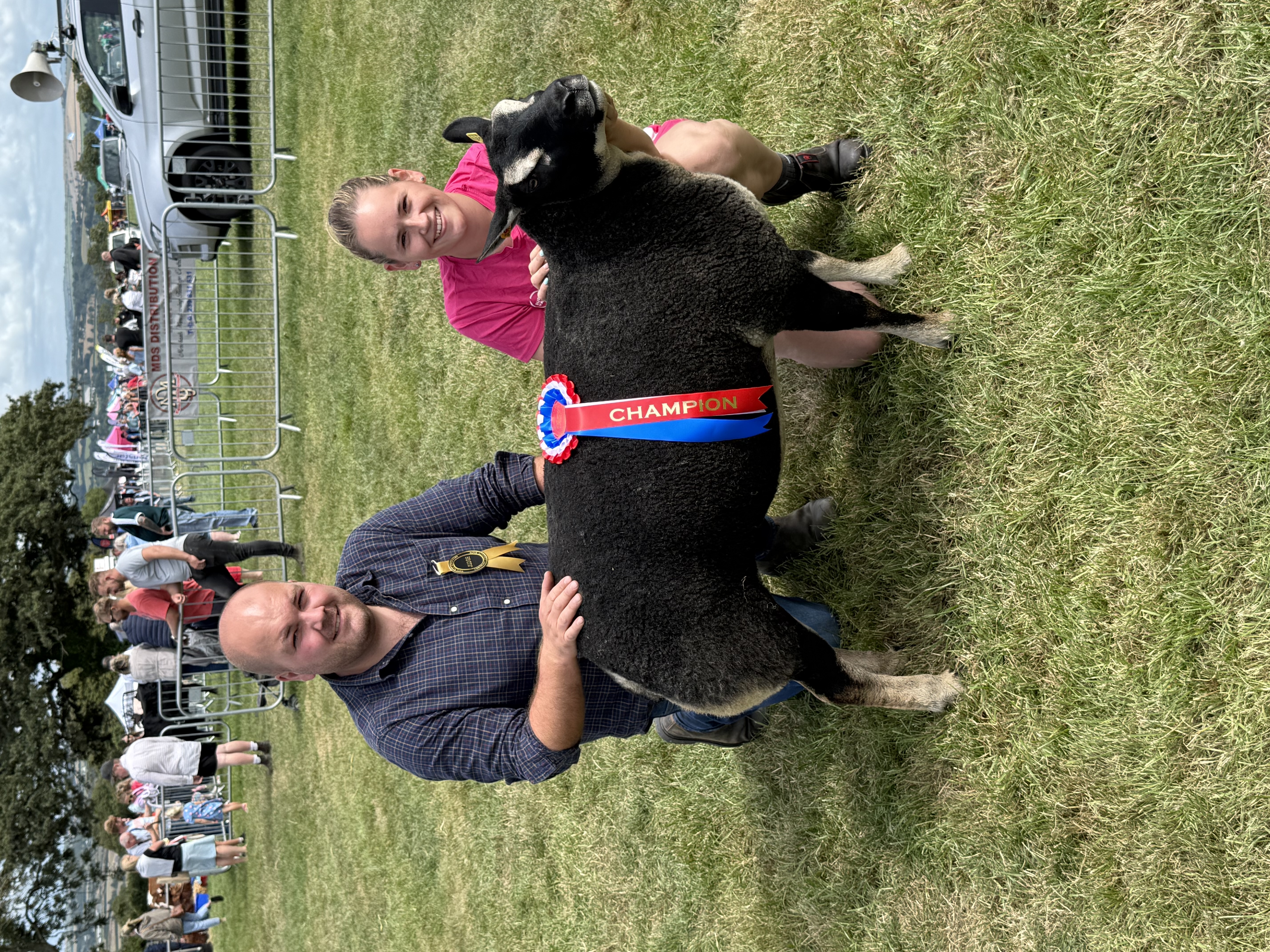 You are currently viewing The secret to pedigree sheep success