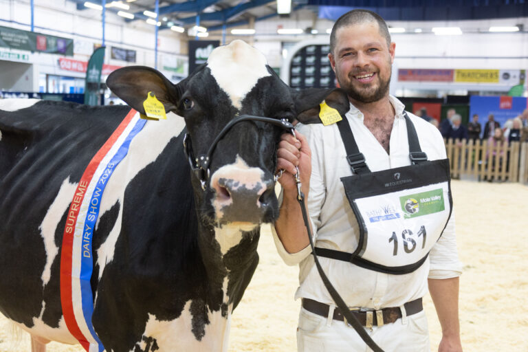 Read more about the article Top class farming and competition at the Dairy Show