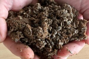 Read more about the article New moist feed to recover farm margins