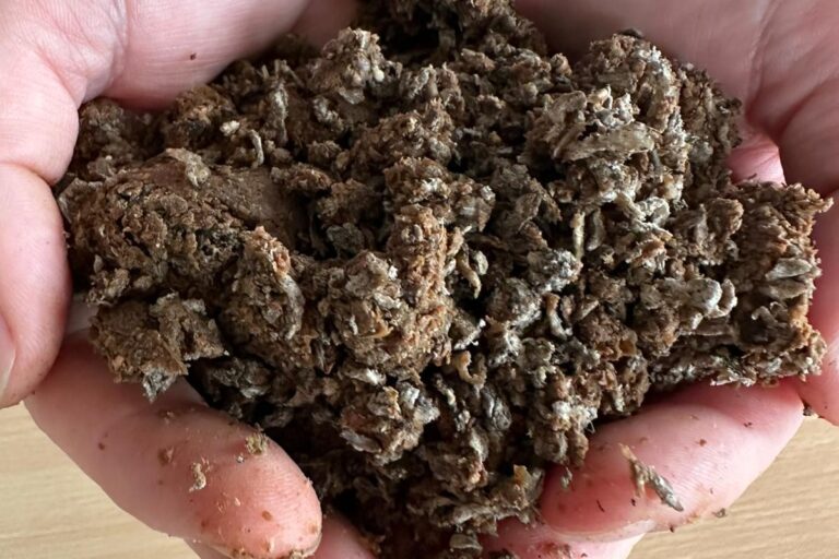 Read more about the article New moist feed to recover farm margins