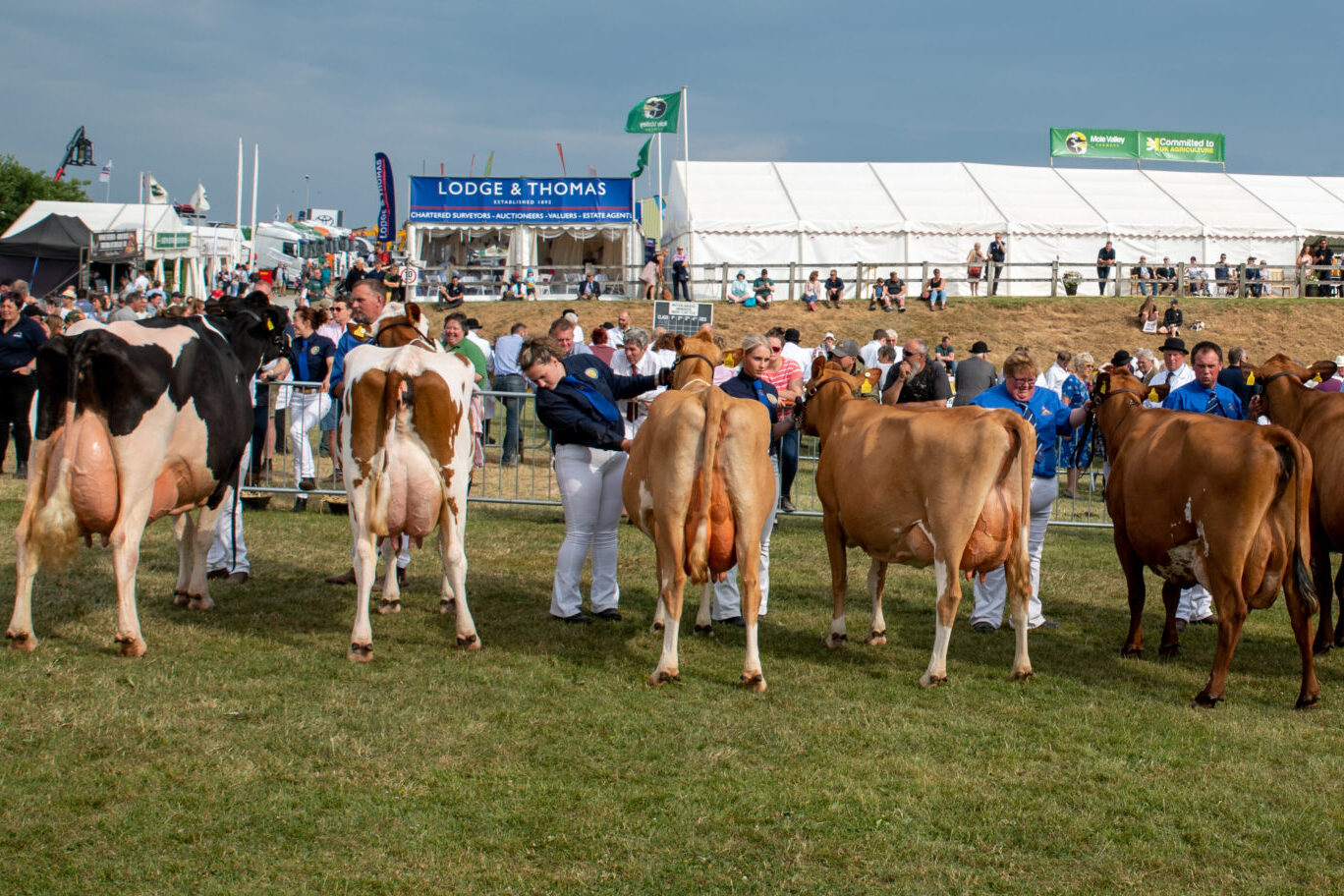 You are currently viewing Mole Valley Farmers headlines Royal Cornwall Show