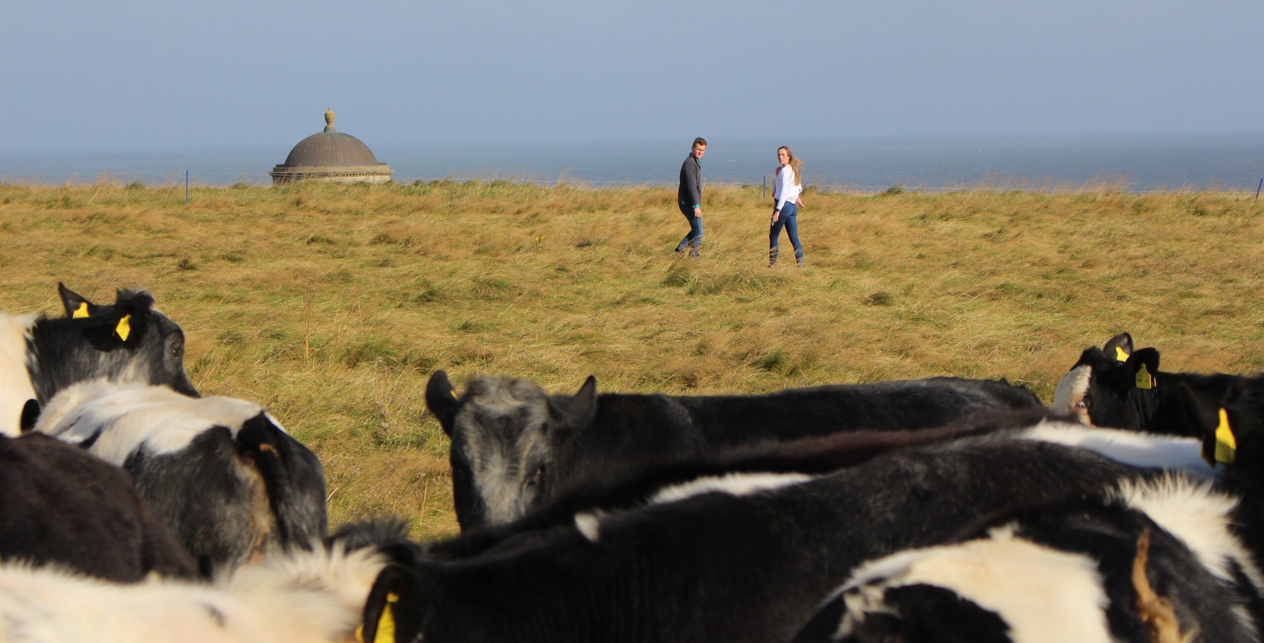 You are currently viewing Fund available for organic and agroecological farmers