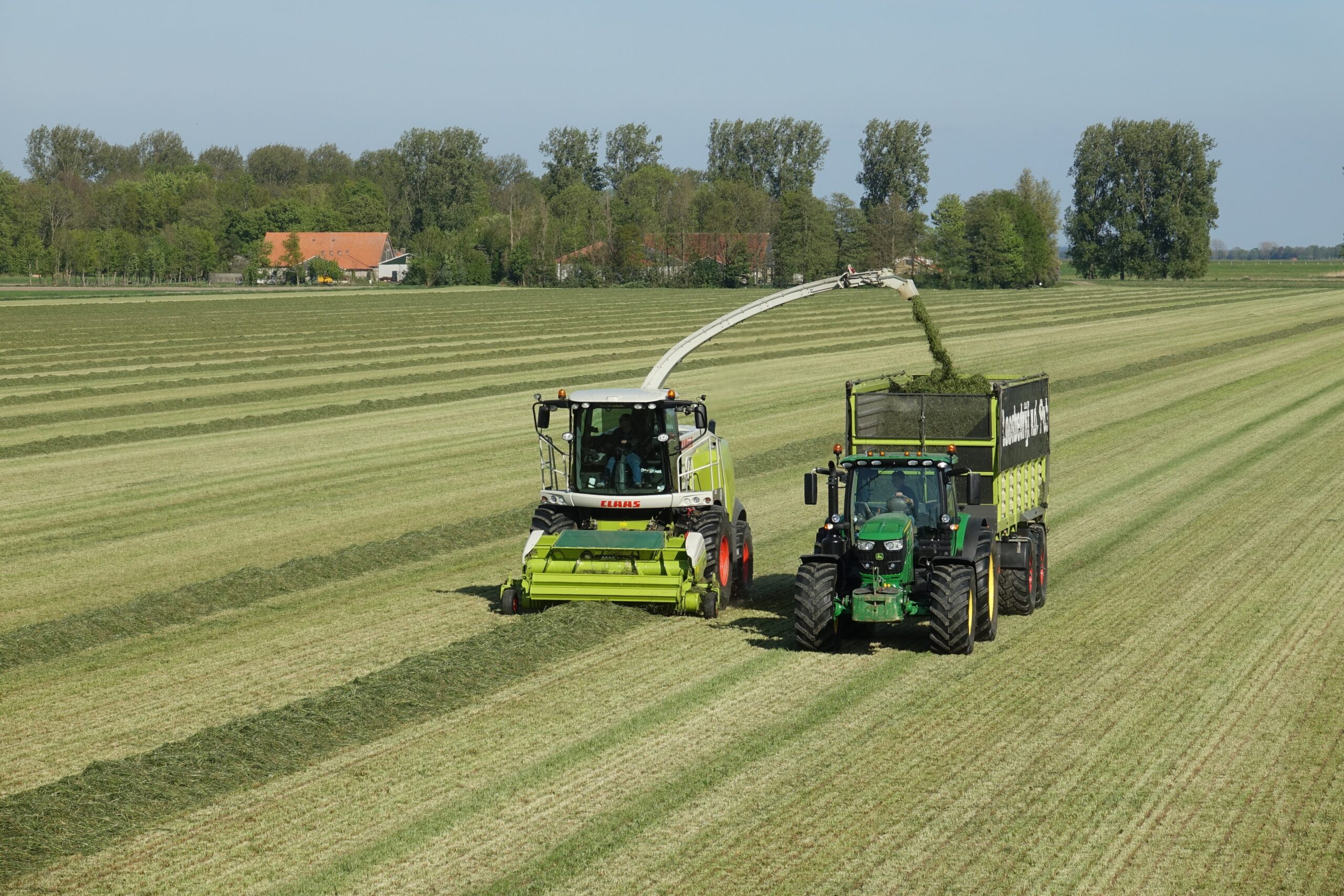 Read more about the article Positive indications from early grass silage analysis