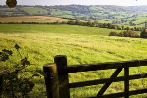 Uncertainty damaging farm lets, warns CAAV