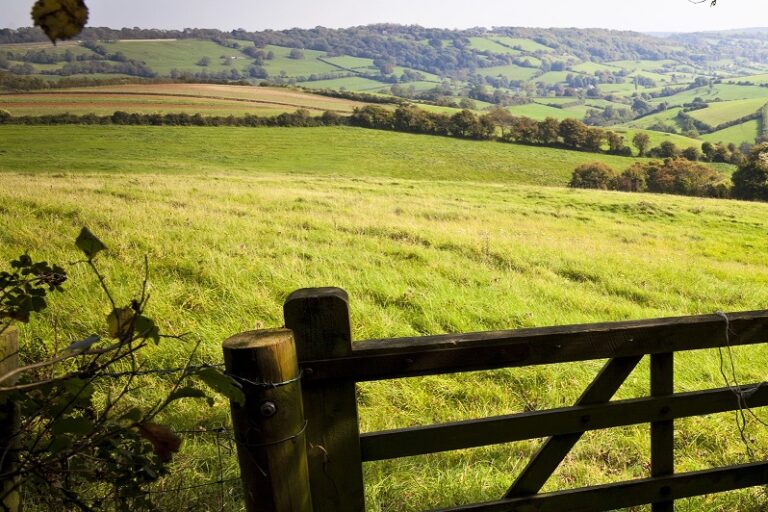 Read more about the article Uncertainty damaging farm lets, warns CAAV