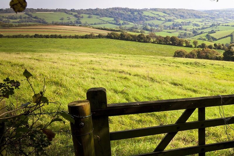 You are currently viewing Uncertainty damaging farm lets, warns CAAV