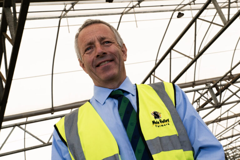 Read more about the article How to make the most of high protein silage