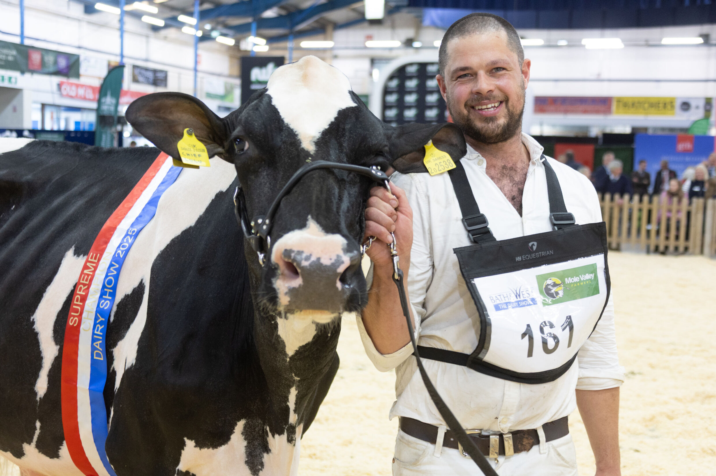 You are currently viewing Jersey and Guernsey focus at the Dairy Show