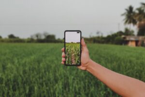 How Regeno is helping advisers deliver smarter farm guidance 