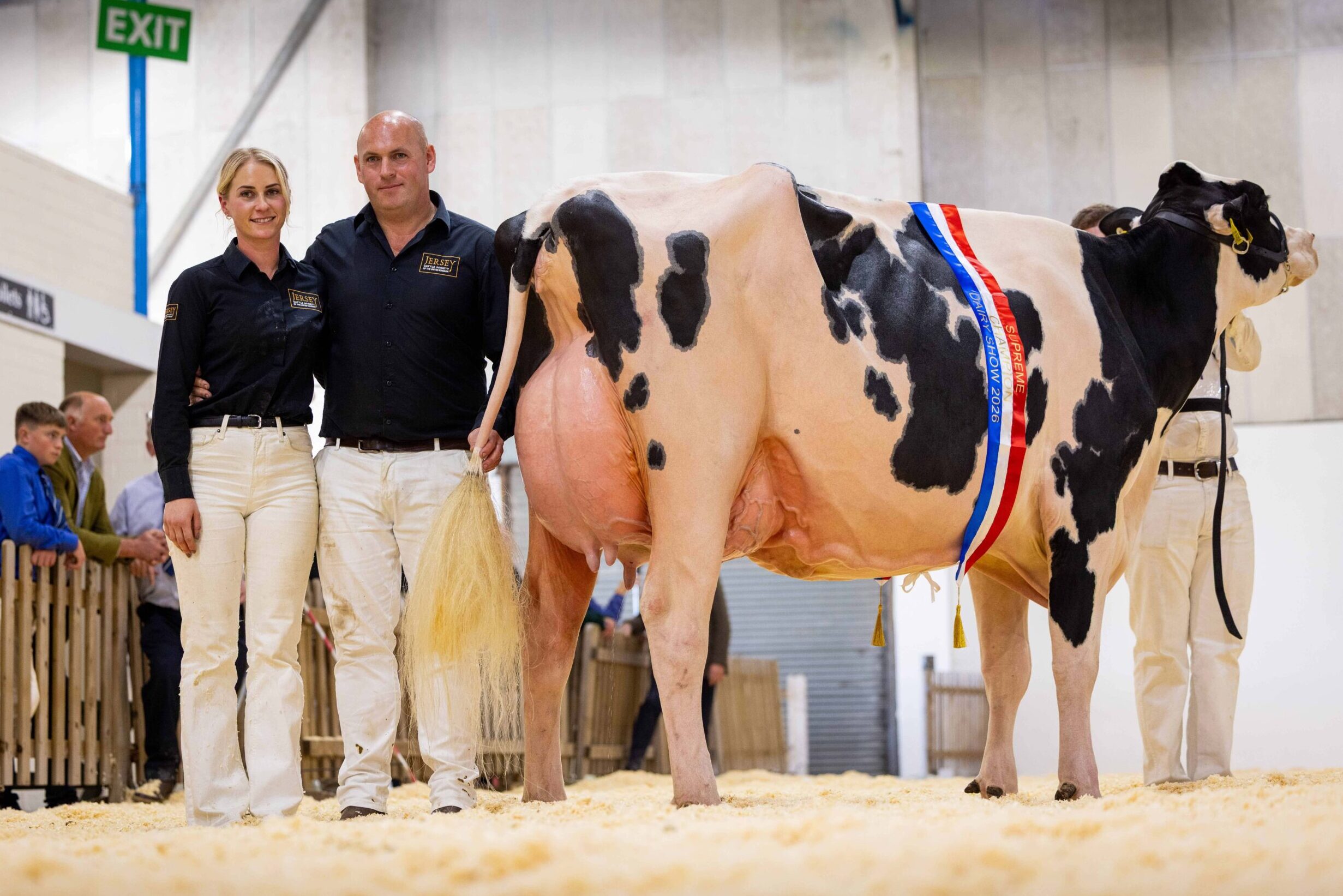 You are currently viewing Devon breeders claim success at the Dairy Show